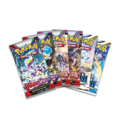 Collector Chest 2023 Pokemon TCG